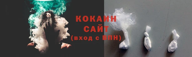 spice Краснослободск