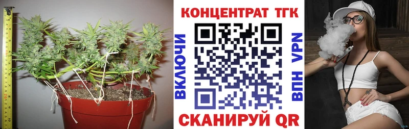 Купить где  Карабаново  ТГК концентрат 